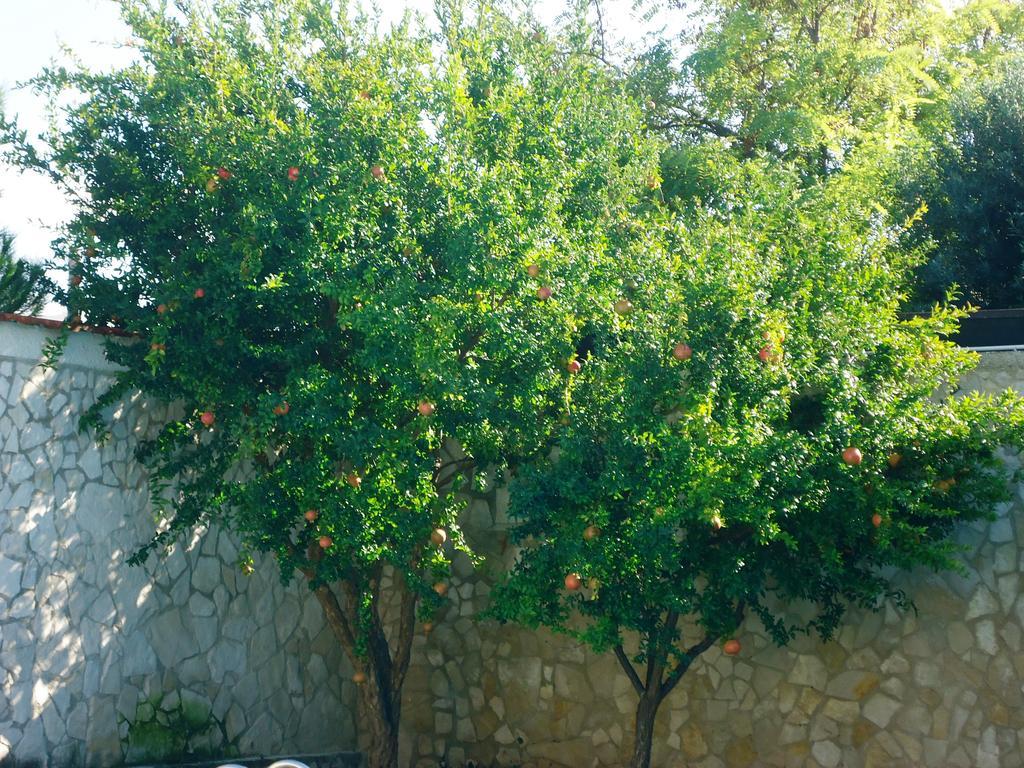 Dafne Guest house Bari